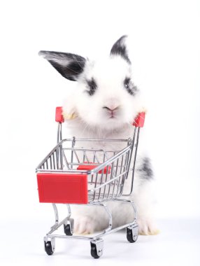 Küçük şirin tavşan standı ve beyaz arka planda tramvayı tut. Küçük sevimli tavşancık küçük alışveriş arabaları ve hareketler oynuyor. Pazarlama fikri çok güzel..