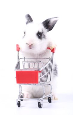 Küçük şirin tavşan standı ve beyaz arka planda tramvayı tut. Küçük sevimli tavşancık küçük alışveriş arabaları ve hareketler oynuyor. Pazarlama fikri çok güzel..