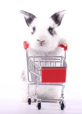 Küçük şirin tavşan standı ve beyaz arka planda tramvayı tut. Küçük sevimli tavşancık küçük alışveriş arabaları ve hareketler oynuyor. Pazarlama fikri çok güzel..