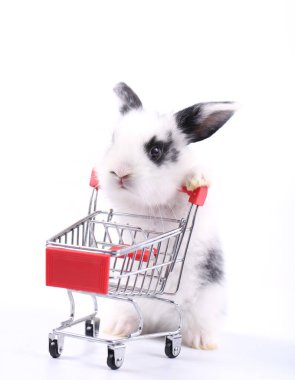 Küçük şirin tavşan standı ve beyaz arka planda tramvayı tut. Küçük sevimli tavşancık küçük alışveriş arabaları ve hareketler oynuyor. Pazarlama fikri çok güzel..