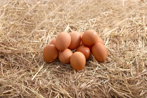 Muchos Huevos Pato Blanco Gallina Juntos Grupo Como Fondo Granja — Foto de Stock