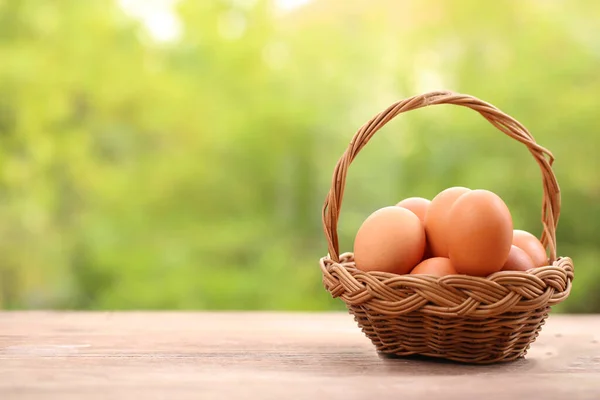 Muchos Huevos Pato Blanco Gallina Juntos Grupo Como Fondo Granja — Foto de Stock