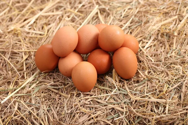 Muchos Huevos Pato Blanco Gallina Juntos Grupo Como Fondo Granja — Foto de Stock