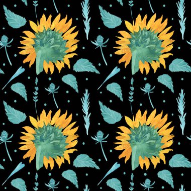 Sarı Ayçiçeği ve Turkuaz yapraklı suluboya desen siyah izole arkaplanda. Çiçek, sonbahar el boyası. Paketleme, tekstil, kumaş, arka plan, duvar kağıdı, albüm kağıdı için tasarım..