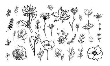 Karalama tarzı siyah çizgi arkaplanlı Flowers ile vektör illüstrasyonu ayarlandı. Çiçek koleksiyonu ve klips çizimi. Etiketler, sosyal medya, ambalaj, internet, kartpostallar, posterler için tasarımlar..