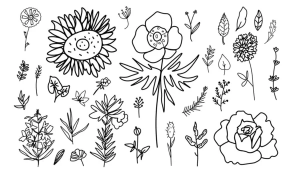 Vector Illustratie Set Met Bloemen Doodle Stijl Zwarte Lijn Witte — Stockvector