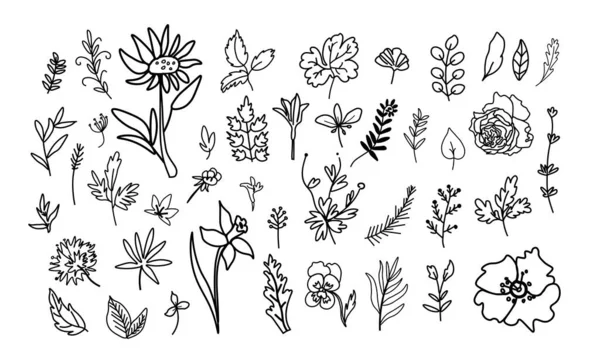 Vector Illustration Set Mit Blumen Doodle Stil Schwarze Linie Weißer — Stockvektor
