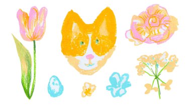 Corgi el yapımı balmumu boya kalemleri çizilmiş bahar çiçekleri. Beyaz izole arka planda pastel kalemlerle desenli, çiçek desenli resimler. Pankartlar için tasarımlar..