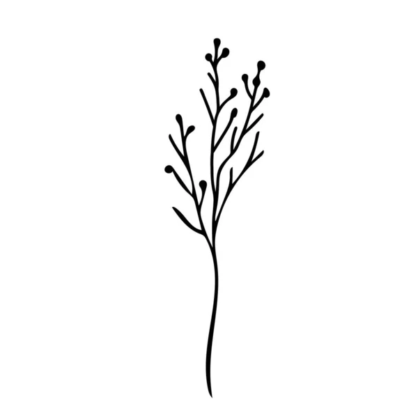 Vector Simple Christmas Plant Doodle Style Black Line White Background — 스톡 벡터