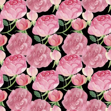 Siyah izole edilmiş arka planda pembe çiçekli suluboya deseni. Dekoratif, şenlikli, yinelenen, parlak el yazısı. Tekstil tasarımı, ambalaj kağıdı, kumaş..