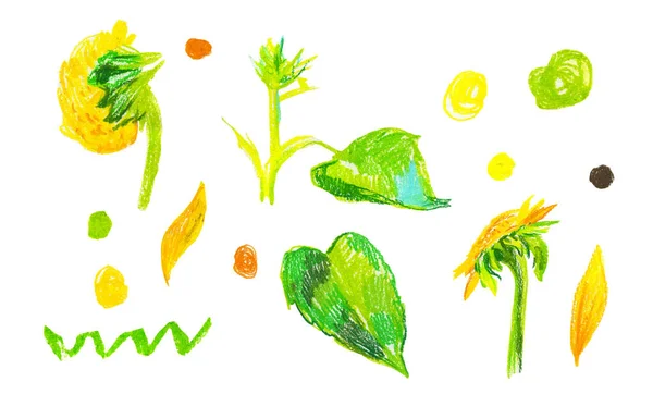 一套黄色的葵花花 蜡笔画在白色孤立的背景上 秋天植物宝宝花 涂鸦风格 手绘蜡笔画 设计卡片社交媒体 印刷品 邀请函 — 图库照片