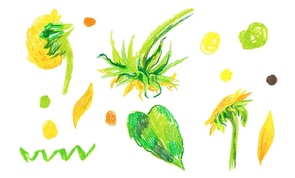 一套黄色的葵花花 蜡笔画在白色孤立的背景上 秋天植物宝宝花 涂鸦风格 手绘蜡笔画 设计卡片社交媒体 印刷品 邀请函 — 图库照片