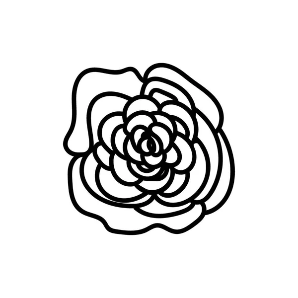 Vektorillustration Einer Rose Zum Valentinstag Mit Einem Schwarzen Strich Auf — Stockvektor