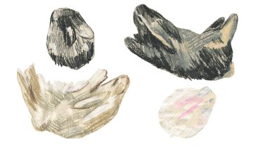 2023 yılında beyaz izole edilmiş arkaplan üzerinde tavşan sembollü balmumu çizimler. Çocuk stilinde yağlı boya boya boya ile boyanmış hayvan koleksiyonu. Paketler, çıkartmalar, kartlar için tasarımlar..