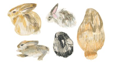 2023 yılında beyaz izole edilmiş arkaplan üzerinde tavşan sembollü balmumu çizimler. Çocuk stilinde yağlı boya boya boya ile boyanmış hayvan koleksiyonu. Paketler, çıkartmalar, kartlar için tasarımlar..