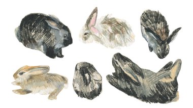 2023 yılında beyaz izole edilmiş arkaplan üzerinde tavşan sembollü balmumu çizimler. Çocuk stilinde yağlı boya boya boya ile boyanmış hayvan koleksiyonu. Paketler, çıkartmalar, kartlar için tasarımlar..