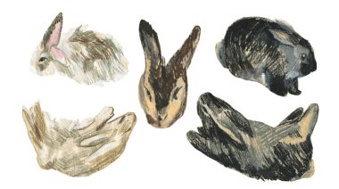 2023 yılında beyaz izole edilmiş arkaplan üzerinde tavşan sembollü balmumu çizimler. Çocuk stilinde yağlı boya boya boya ile boyanmış hayvan koleksiyonu. Paketler, çıkartmalar, kartlar için tasarımlar..