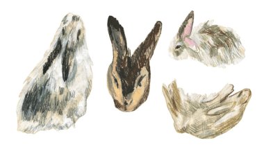 2023 yılında beyaz izole edilmiş arkaplan üzerinde tavşan sembollü balmumu çizimler. Çocuk stilinde yağlı boya boya boya ile boyanmış hayvan koleksiyonu. Paketler, çıkartmalar, kartlar için tasarımlar..