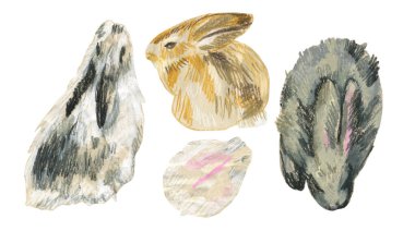 2023 yılında beyaz izole edilmiş arkaplan üzerinde tavşan sembollü balmumu çizimler. Çocuk stilinde yağlı boya boya boya ile boyanmış hayvan koleksiyonu. Paketler, çıkartmalar, kartlar için tasarımlar..