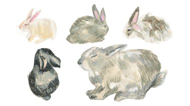 2023 yılında beyaz izole edilmiş arkaplan üzerinde tavşan sembollü balmumu çizimler. Çocuk stilinde yağlı boya boya boya ile boyanmış hayvan koleksiyonu. Paketler, çıkartmalar, kartlar için tasarımlar..