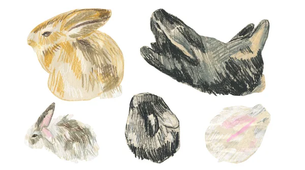 2023 yılında beyaz izole edilmiş arkaplan üzerinde tavşan sembollü balmumu çizimler. Çocuk stilinde yağlı boya boya boya ile boyanmış hayvan koleksiyonu. Paketler, çıkartmalar, kartlar için tasarımlar..