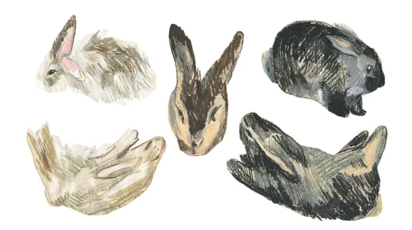 2023 yılında beyaz izole edilmiş arkaplan üzerinde tavşan sembollü balmumu çizimler. Çocuk stilinde yağlı boya boya boya ile boyanmış hayvan koleksiyonu. Paketler, çıkartmalar, kartlar için tasarımlar..