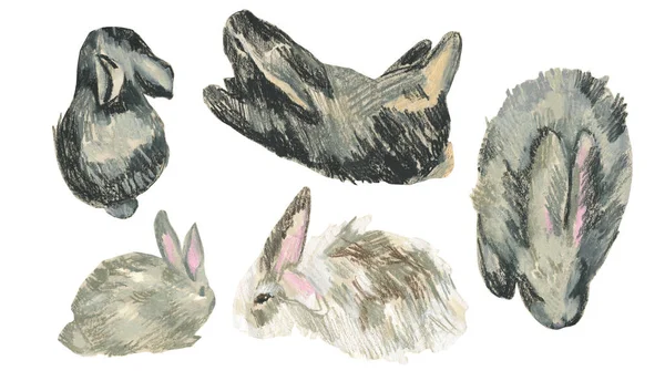 2023 yılında beyaz izole edilmiş arkaplan üzerinde tavşan sembollü balmumu çizimler. Çocuk stilinde yağlı boya boya boya ile boyanmış hayvan koleksiyonu. Paketler, çıkartmalar, kartlar için tasarımlar..