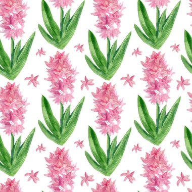 Beyaz arka planda sümbül desenleri olan sulu boya desenleri. Bahar, botanik, şenlikli el resimleri. Kağıt, tekstil, kumaş, duvar kağıdı, ambalaj için tasarımlar..