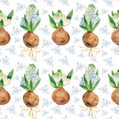 Beyaz arka planda sümbül desenleri olan sulu boya desenleri. Bahar, botanik, şenlikli el resimleri. Kağıt, tekstil, kumaş, duvar kağıdı, ambalaj için tasarımlar..