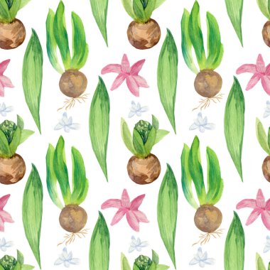 Beyaz arka planda sümbül desenleri olan sulu boya desenleri. Bahar, botanik, şenlikli el resimleri. Kağıt, tekstil, kumaş, duvar kağıdı, ambalaj için tasarımlar..