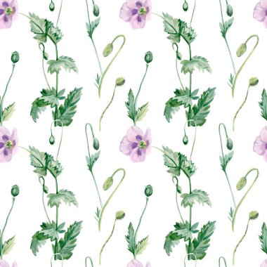 Beyaz arka planda haşhaş desenli suluboya desenler. Yaz, botanik, çiçekli, tatil el boyalı baskılar. Kağıt, tekstil, kumaş, duvar kağıdı, ambalaj için tasarımlar..