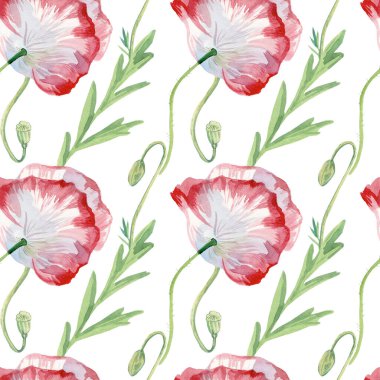 Beyaz arka planda haşhaş desenli suluboya desenler. Yaz, botanik, çiçekli, tatil el boyalı baskılar. Kağıt, tekstil, kumaş, duvar kağıdı, ambalaj için tasarımlar..