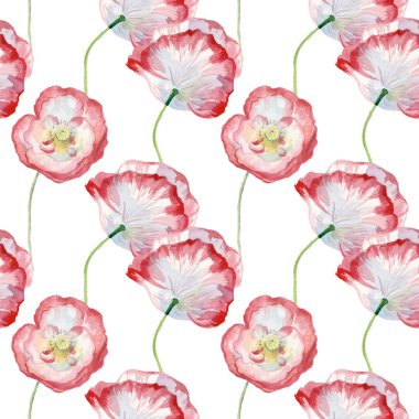 Beyaz arka planda haşhaş desenli suluboya desenler. Yaz, botanik, çiçekli, tatil el boyalı baskılar. Kağıt, tekstil, kumaş, duvar kağıdı, ambalaj için tasarımlar..