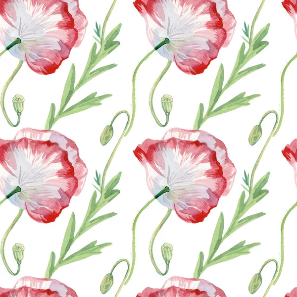 Beyaz arka planda haşhaş desenli suluboya desenler. Yaz, botanik, çiçekli, tatil el boyalı baskılar. Kağıt, tekstil, kumaş, duvar kağıdı, ambalaj için tasarımlar..