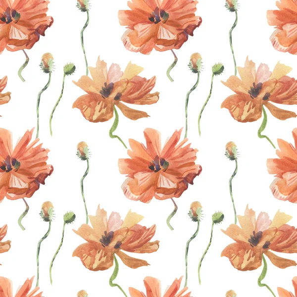 Watercolor Seamless Patterns Poppies White Background Summer Botanical Floral Holiday — Stock Photo, Image