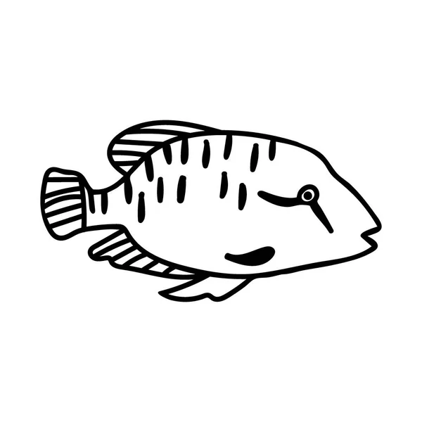 白い隔離された背景に熱帯魚とベクトルシンプルなイラスト オーシャン 夏の水中動物の手は ドアスタイルで描かれています ポストカードのためのデザイン ステッカー パッケージ ソーシャルメディア ウェブ — ストックベクタ