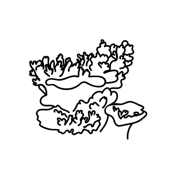 白い隔離された背景にサンゴとベクトルシンプルなイラスト 夏の水中動物の手は ドアスタイルで描かれています — ストックベクタ