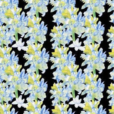 Siyah arka planda sümbülleri olan dikişsiz suluboya deseni. Bahar, botanik, çiçek boyalı el baskısı. Albüm, ambalaj, ambalaj kağıdı, sosyal medya, tekstil, kumaş tasarımları..