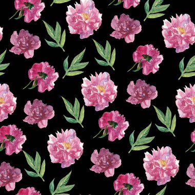 Siyah arka planda pembe şakayık desenli sulu boya. Bahar, botanik, çiçek boyalı el baskısı. Albüm, ambalaj, ambalaj kağıdı, sosyal medya, tekstil, kumaş tasarımları..