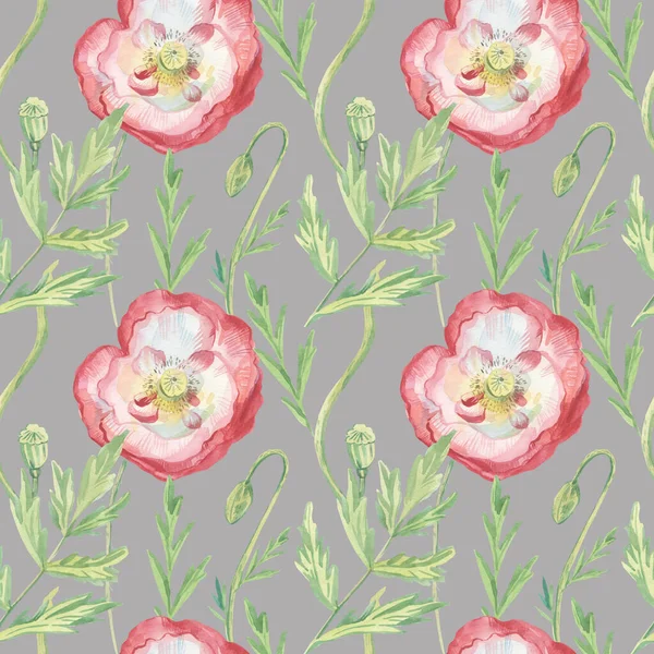 Watercolor Seamless Pattern Poppies Gray Background Summer Wild Botanical Floral — Stock Photo, Image