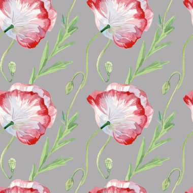 Gri arka planda gelincikler olan dikişsiz suluboya deseni. Yaz, vahşi, botanik, çiçekli el resimleri. Albüm, ambalaj, ambalaj kağıdı, sosyal medya, tekstil, kumaş tasarımları..
