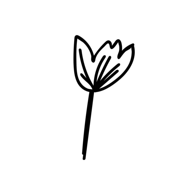 Векторная Простая Иллюстрация Весенние Цветы Черной Линией Пасху Нарисованы Вручную — стоковый вектор