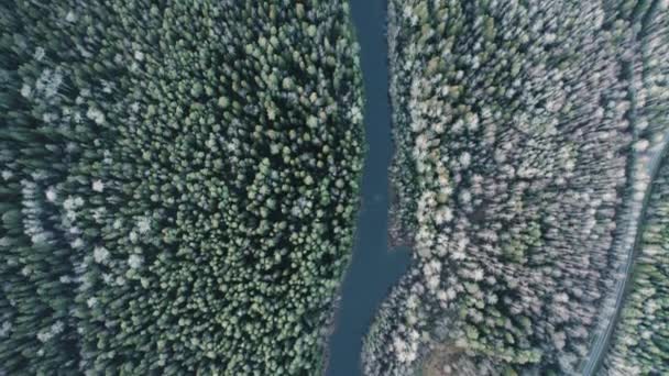 Καρέλια Ρωσική Φύση Εναέρια Κορυφή Του Ποταμού Θέα Μεταξύ Των — Αρχείο Βίντεο