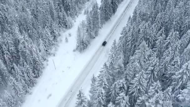Black car driving on the snow road — 图库视频影像