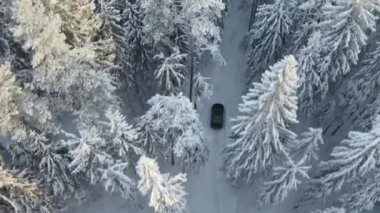 Aerial view of black car driving in snow forest road.