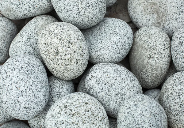 Close up texture with sea stone — Stock Photo, Image