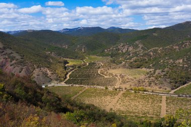 güzel vadi dağ üzüm bağları ile