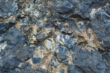 bir taş yosun ve mantar w ile doğal renkli desen