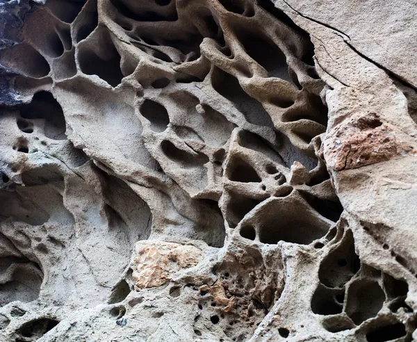 Motif coloré naturel sur une seule pierre avec mousse et champignon w — Photo