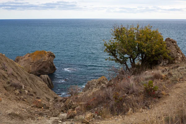 Ağaç ve otların kirli bir uçurumun üzerinden Deniz Manzaralı — Stok fotoğraf